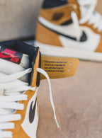 Air Jordan 1 Retro High Rookie of the Year