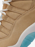 Air Jordan 11 Retro H-Town