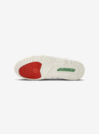 Air Jordan 3 Retro The Flight Summit White