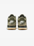 Air Jordan 3 Retro Family Affair
