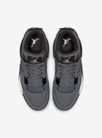 Air Jordan 4 Retro Cool Grey (2019)