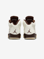 Air Jordan 5 Retro Golden Ticket
