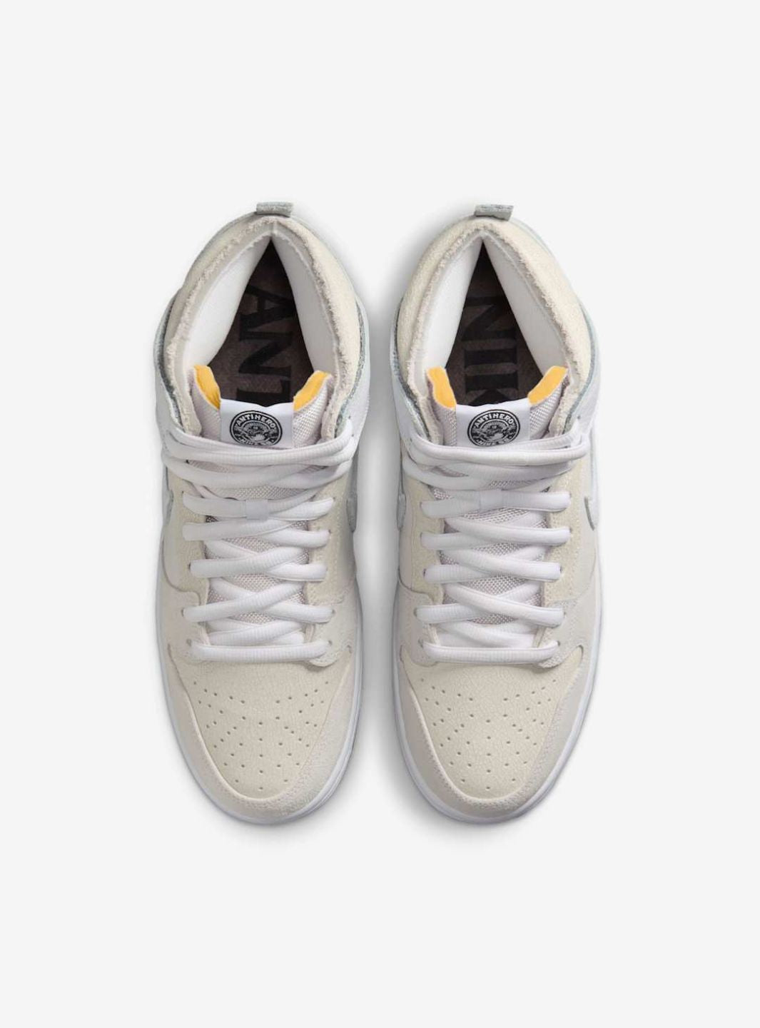 Nike SB Dunk High Antihero Skateboards