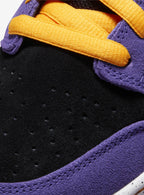 Nike SB Dunk Low ACG Terra