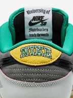 Nike SB Dunk Low CSEF