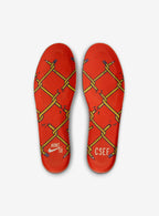 Nike SB Dunk Low CSEF