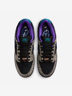 Nike SB Dunk Low Dashawn Jordan Copperhead