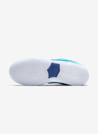 Nike SB Dunk Low Pro Blue Fury