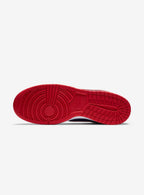 Nike Dunk Low CO.JP Samba (2020)